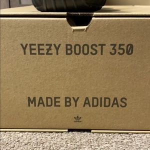 Yeezy Yechei Size 14 100% authentic brand new